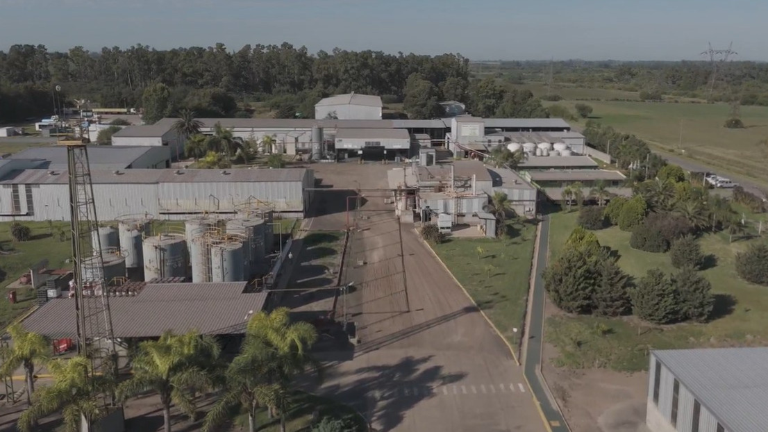 Planta Industrial Ramallo